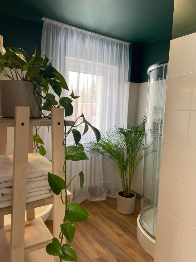 Appartement Szarotka à Karpacz Extérieur photo